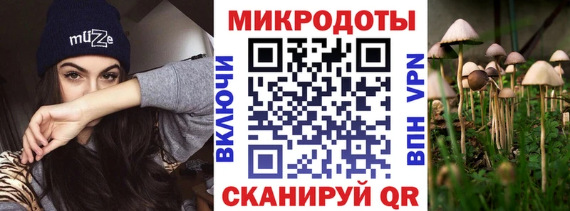 Купить закладки  Горняк  Псилоцибиновые грибы Cubensis 