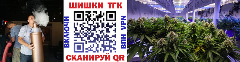 Купить закладки  Горняк  МАРИХУАНА White Widow 